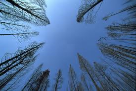 sky